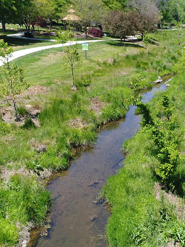 Burlington Arboretum