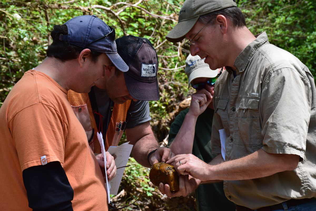 EPR Staff in the Field