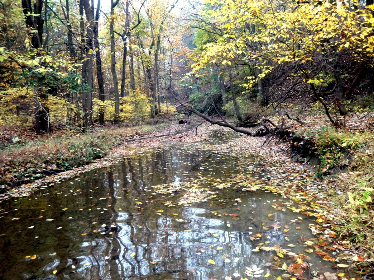 East Pennsboro Watershed Assessment Ecosystem Planning & Restoration